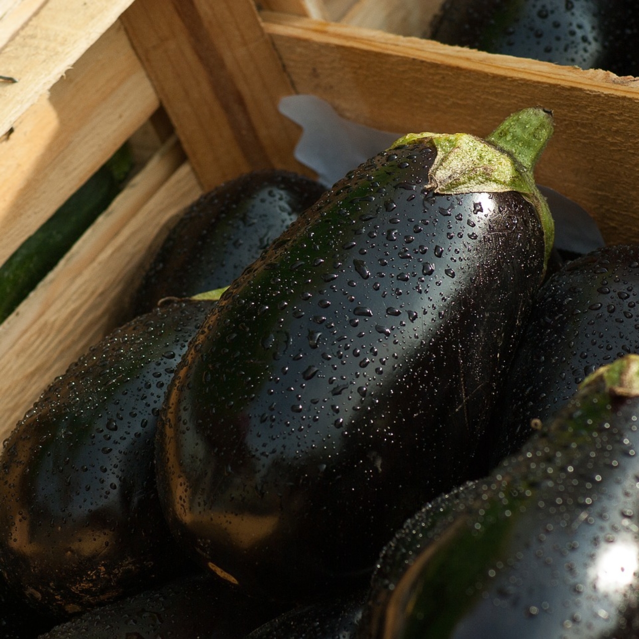 11 faits incroyables sur les aubergines