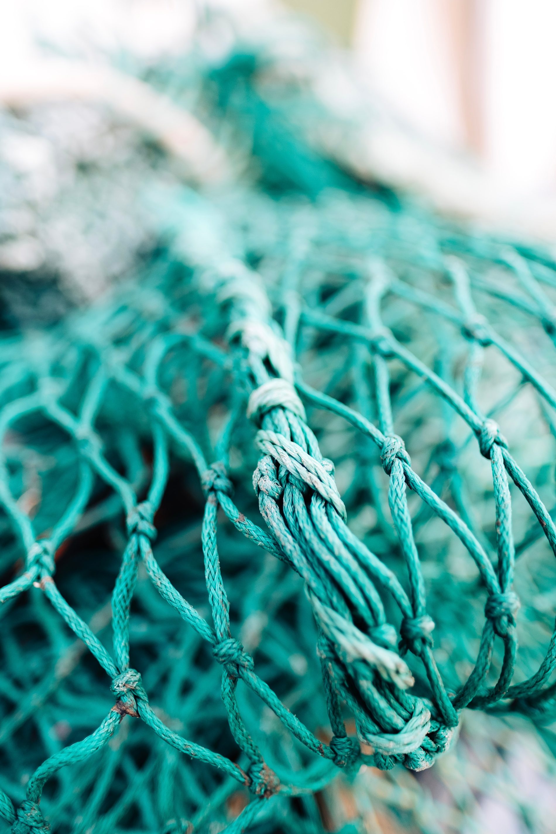 A blue fishing net