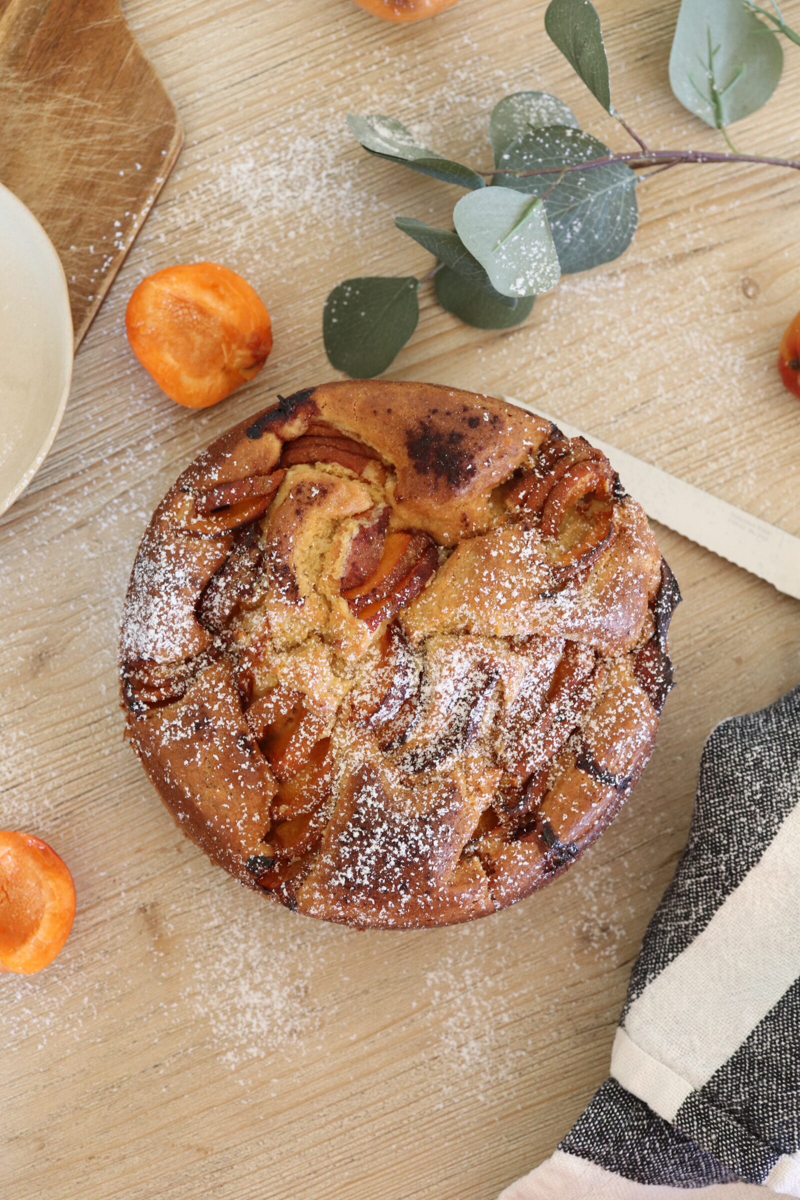 Gâteau moelleux aux abricots et séré