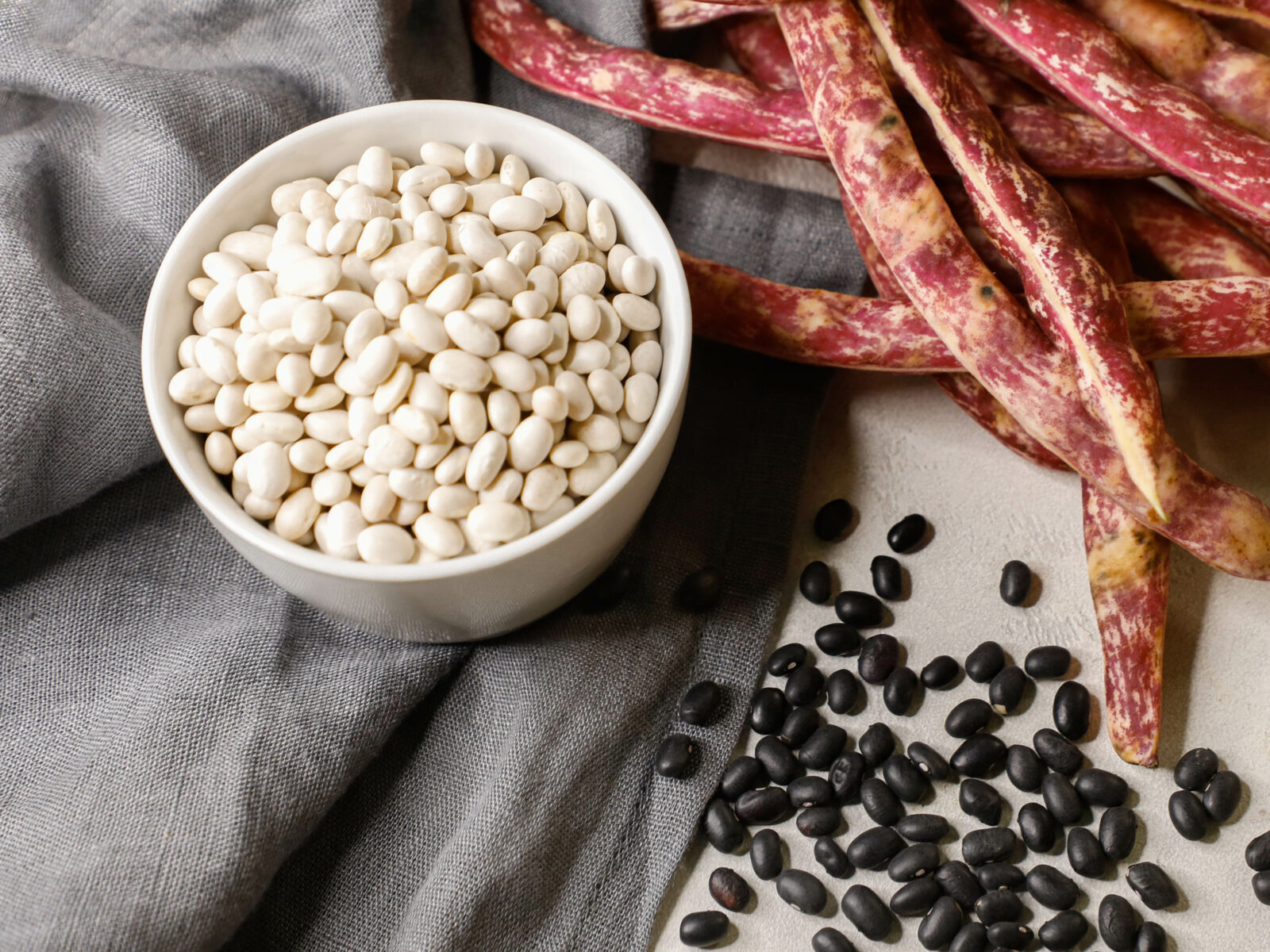 white beans in a bowl, next to black and red beans