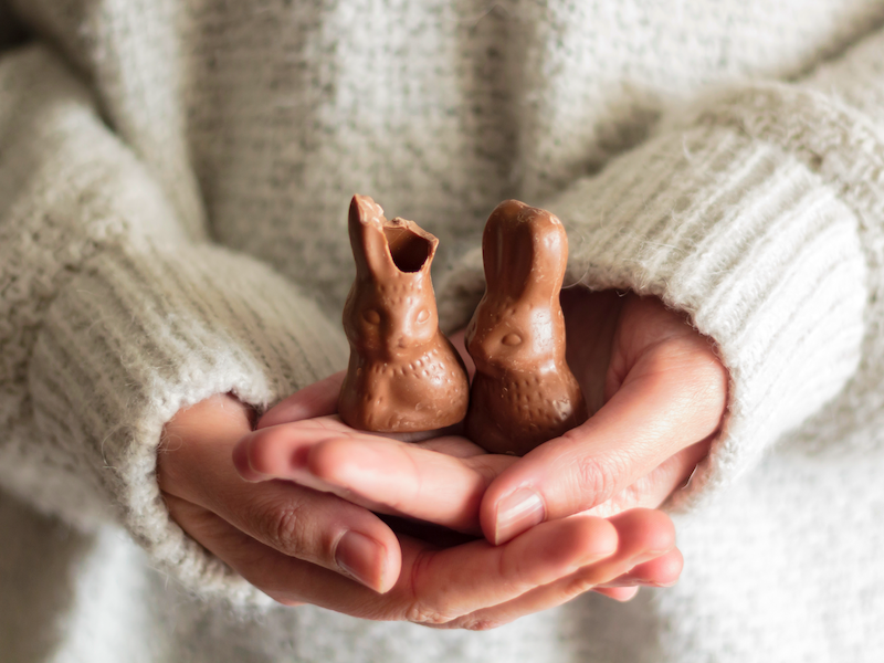 Two chocolate bunnies for easter hold in hands from someone with a white wool pullover